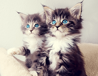 測繪CAD丨批量標注坐標，你不需要嗎？