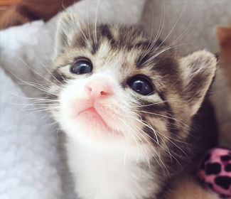 測繪CAD丨批量標(biāo)注坐標(biāo),你不需要嗎?